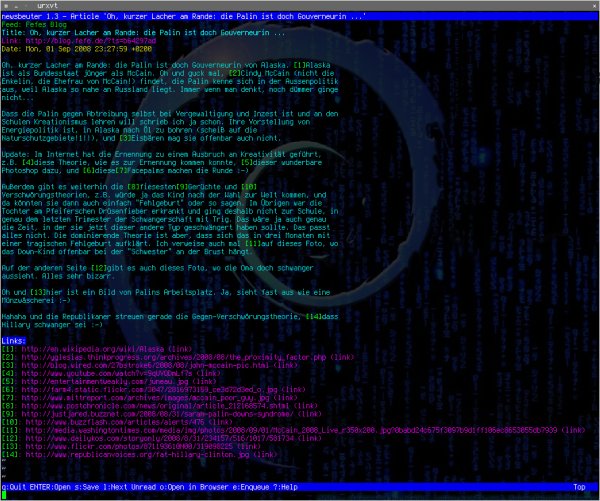 newsbeuter - article view